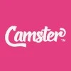 Camster