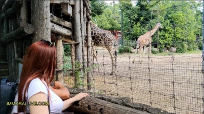 ANNOYING STEP SISTER GOES TO THE ZOO WITH HER BRO - Chubby Teen with Big, round Ass is a Nympho!